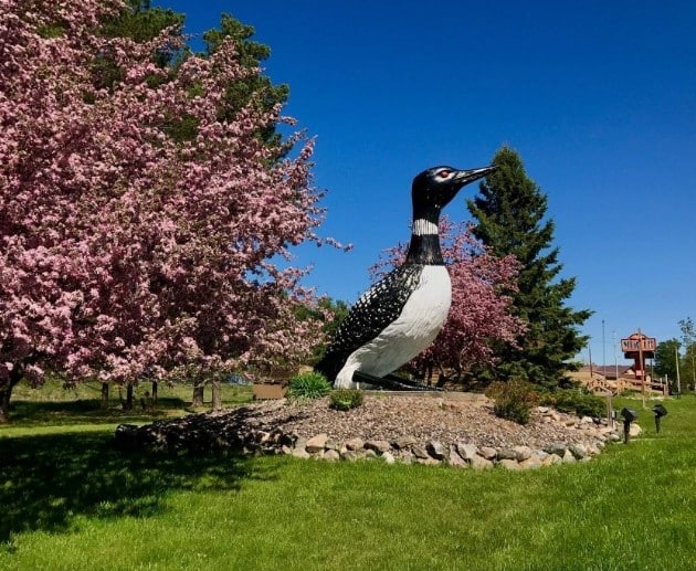 A Local's Guide to Mercer: Loon Capital of the World and the Turtle-Flambeau Flowage