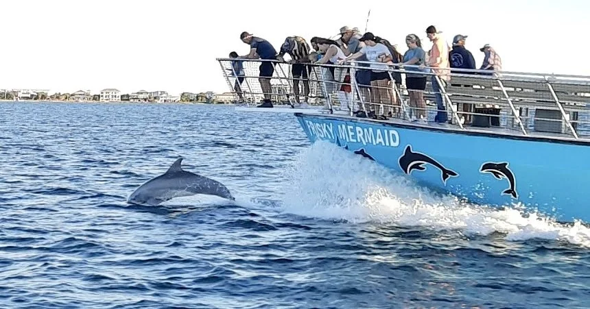 Christmas Sunset Cruise:  Pensacola Beach Dolphin Tours