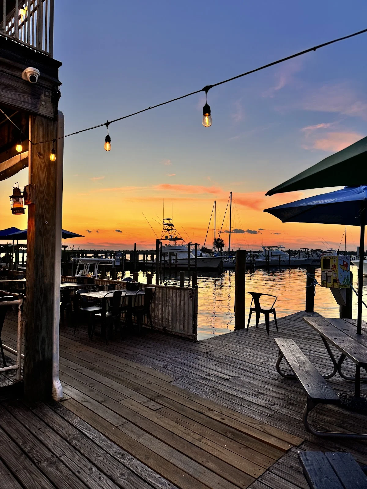 OSO at Bear Point Harbor - Orange Beach