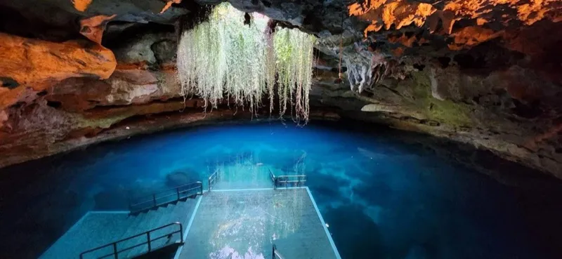 Devil's Den Prehistoric Spring - Attraction in Williston