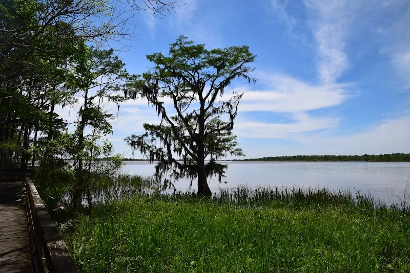 Historic Blakeley State Park - park in Spanish Fort