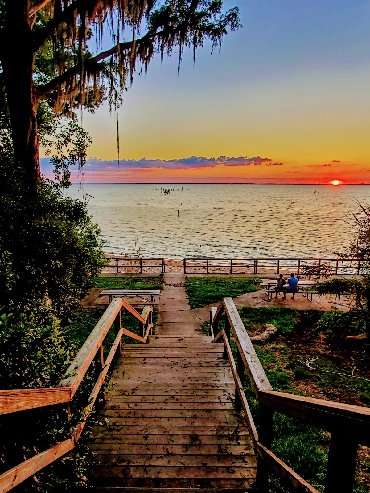 Belrose Park