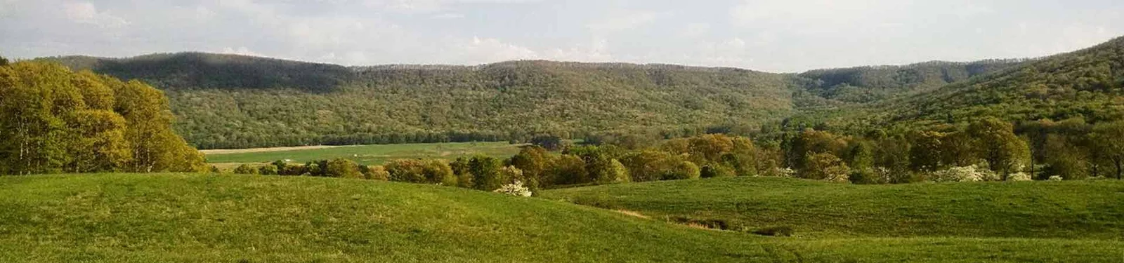 Crockford-Pigeon Mountain Wildlife Management Area