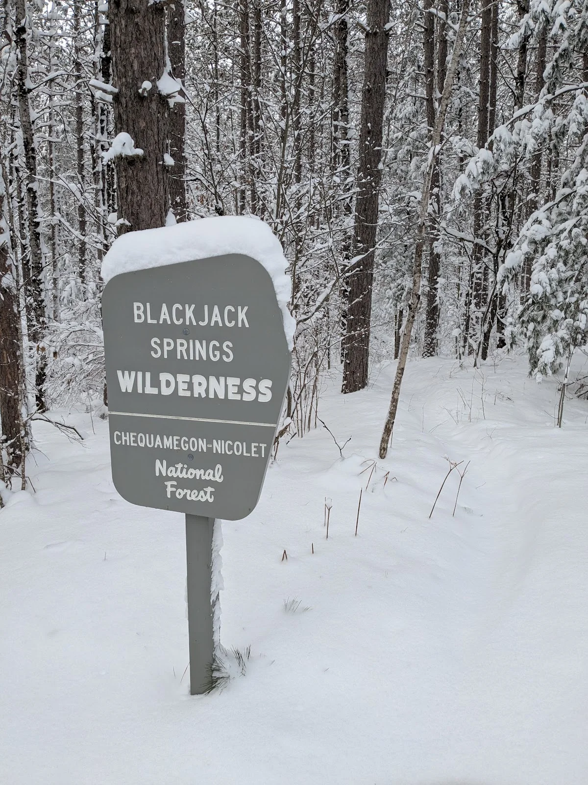 Blackjack Springs Wilderness