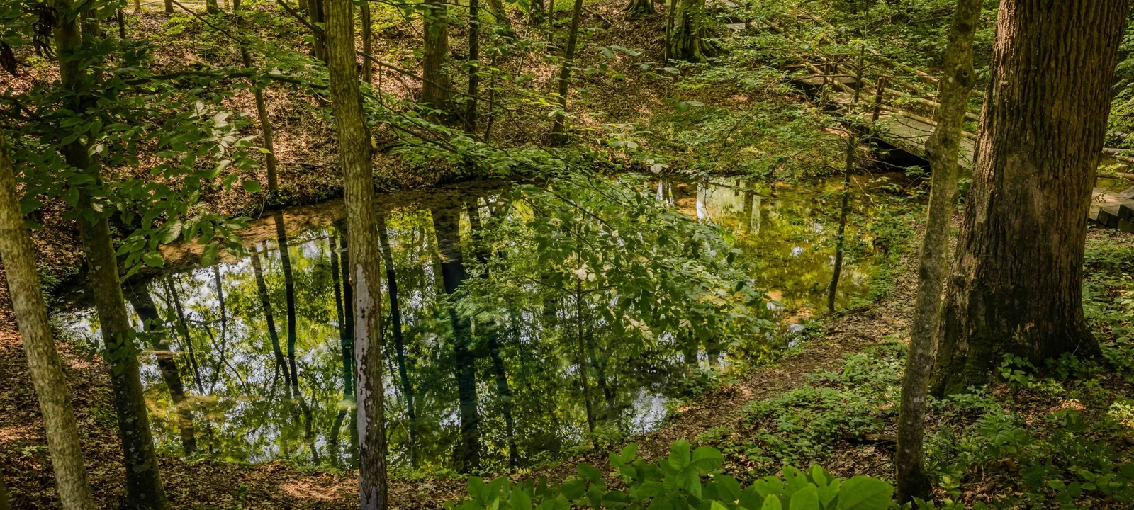 Red Clay State Park