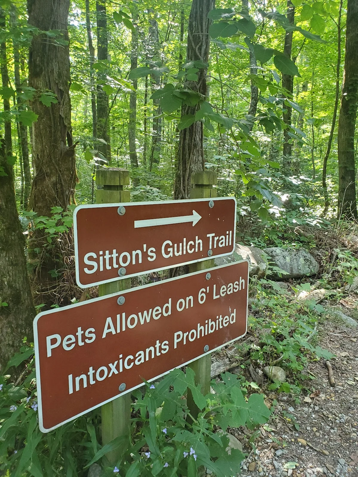 Sitton's Gulch Trailhead