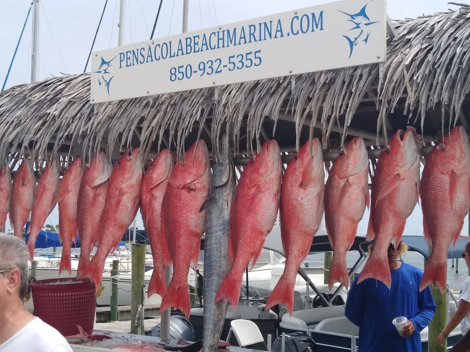 Pensacola Beach Marina - outdoor-recreation in 