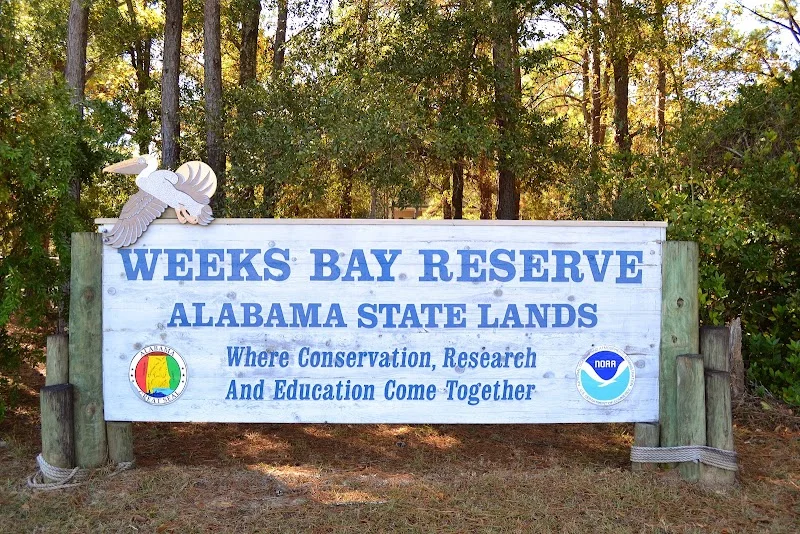 Weeks Bay National Estuarine Research Reserve - park in Fairhope
