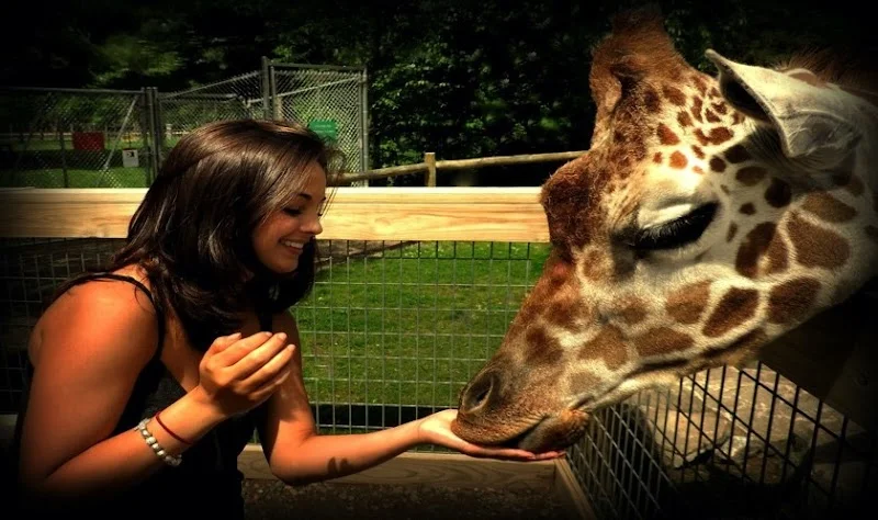 Wildwood Wildlife Park Zoo & Safari