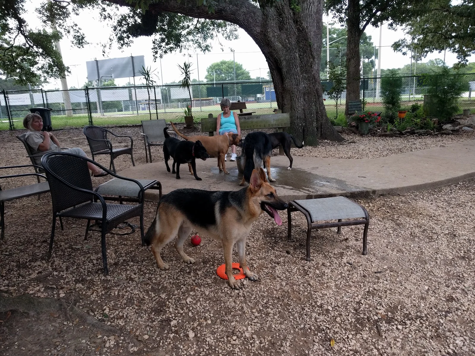 Fairhope Dog Park