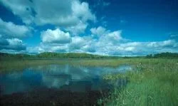 Aurora Lake State Natural Area