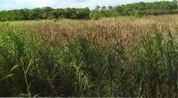 Bayfront Park - A Mobile County Park