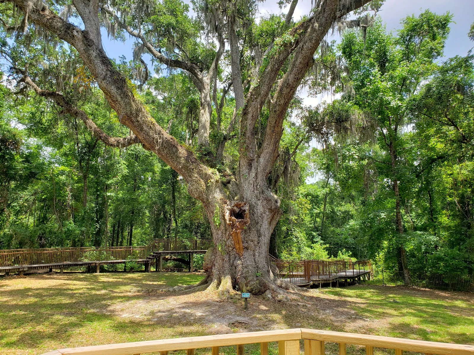 Village Point Park Preserve - park in Daphne