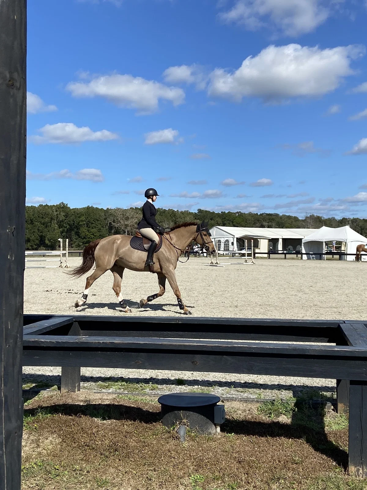 Florida Horse Park