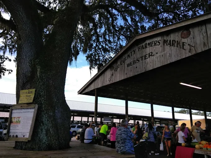Sumter County Farmers Market - Shopping in The Villages