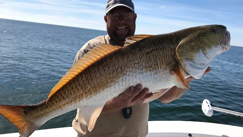 Fishing made EZY - outdoor-recreation in Orange Beach