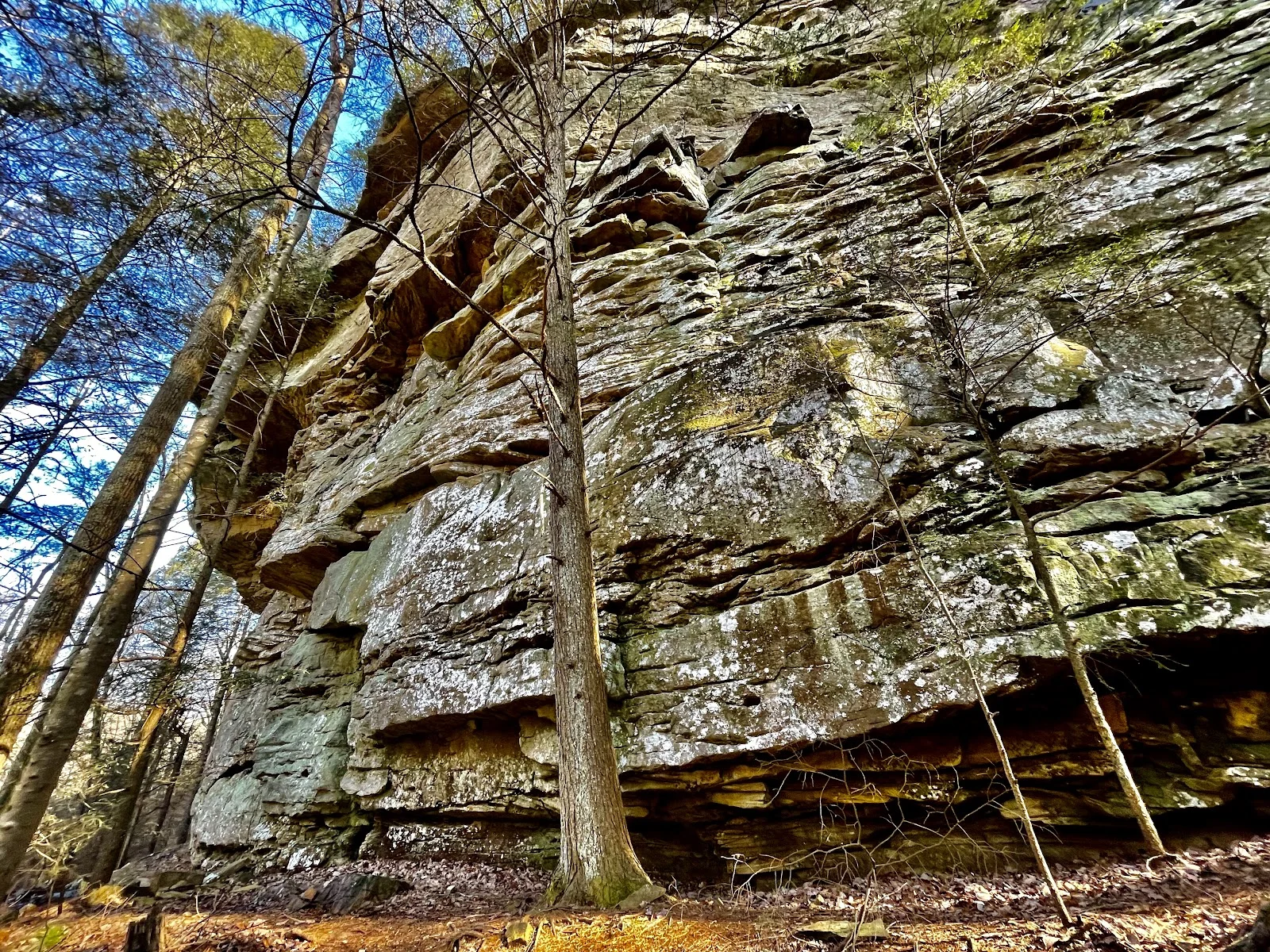 Possum Creek Gorge (Cumberland Trail South)