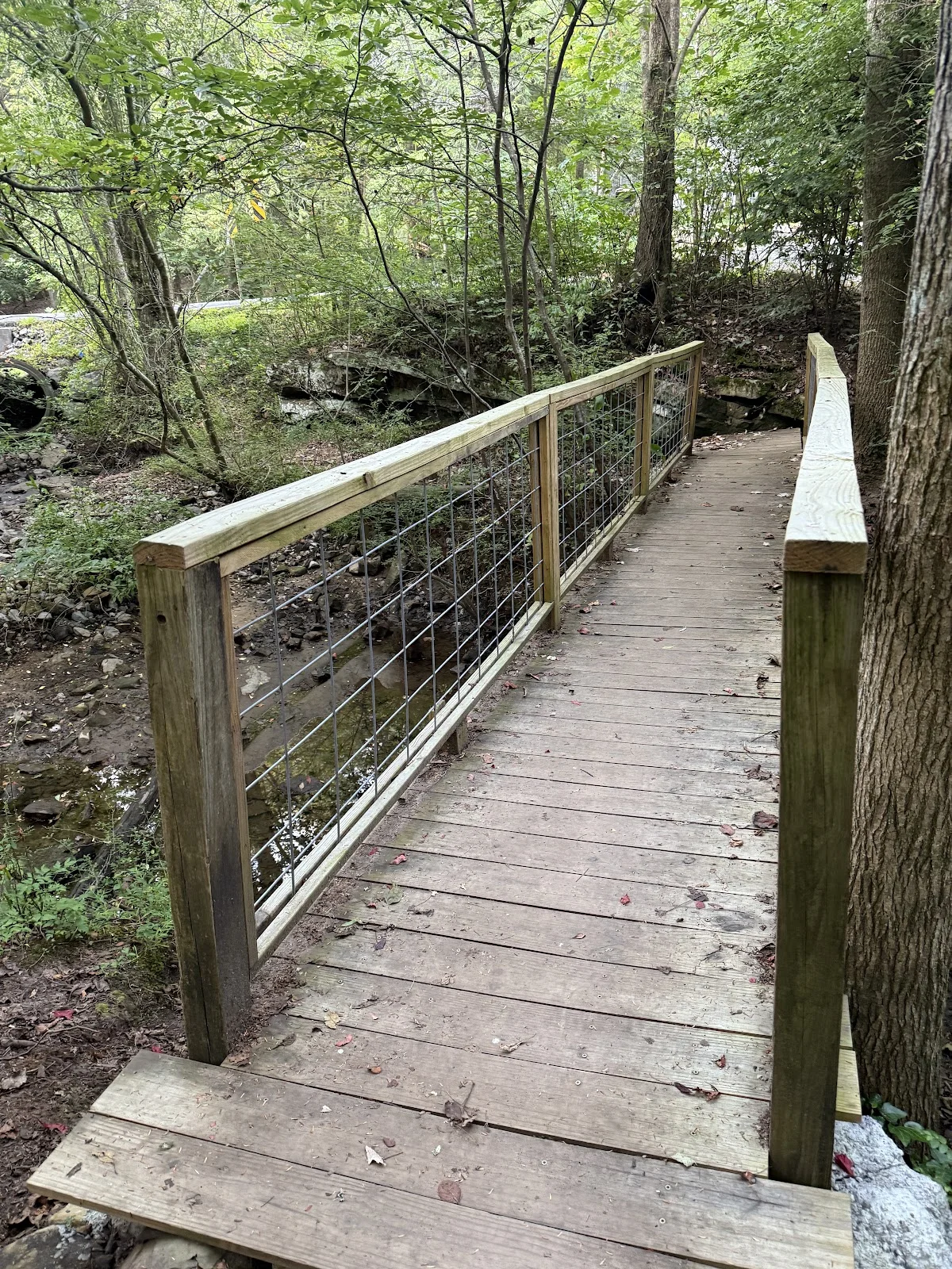 Mabbitt Spring Trailhead