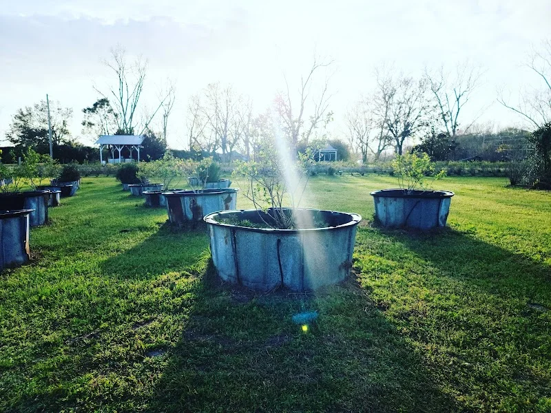 Weeks Bay Plantation, Inc. - outdoor-recreation in Fairhope