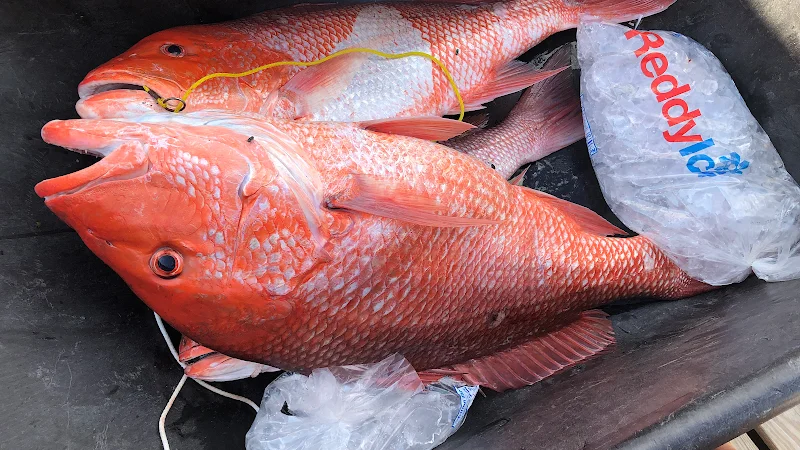 Hudson Marina Deep Sea Fishing