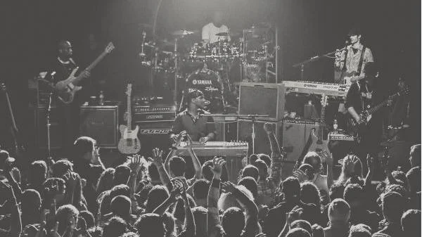 Vinyl Music Hall