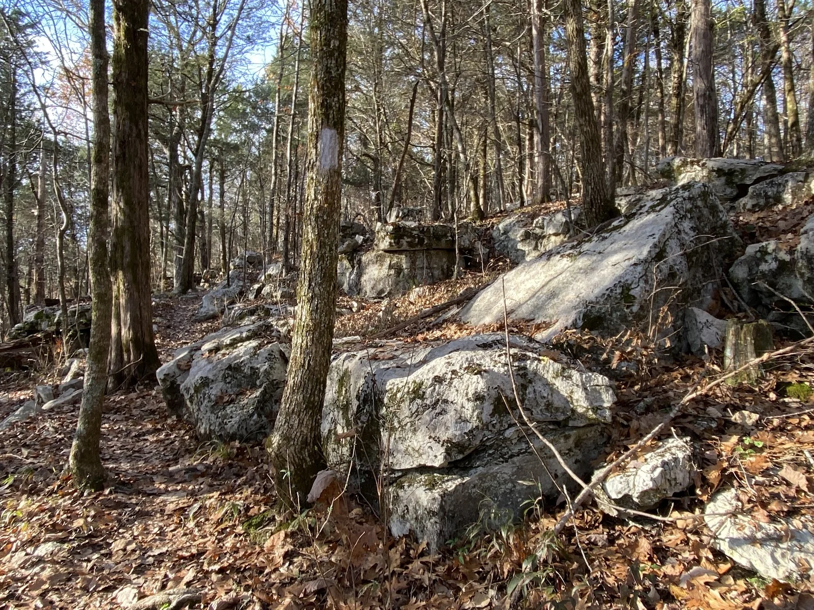 Jasper Mountain Trailhead (Cumberland Trail access)