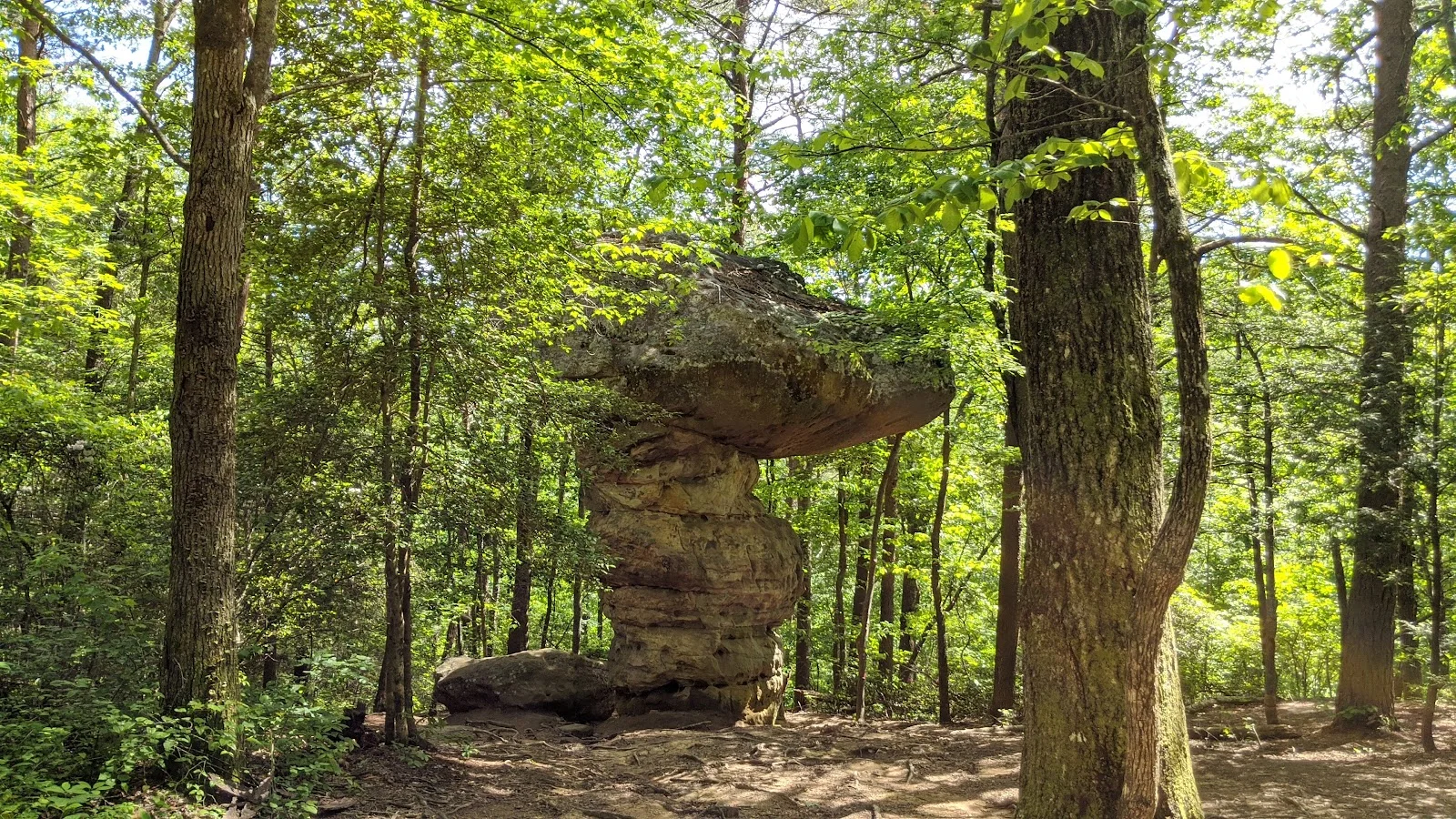 Shackleford Ridge Park