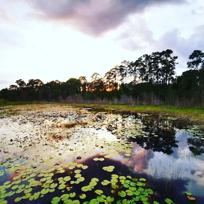 Forest Community Center - community-center in Ocala