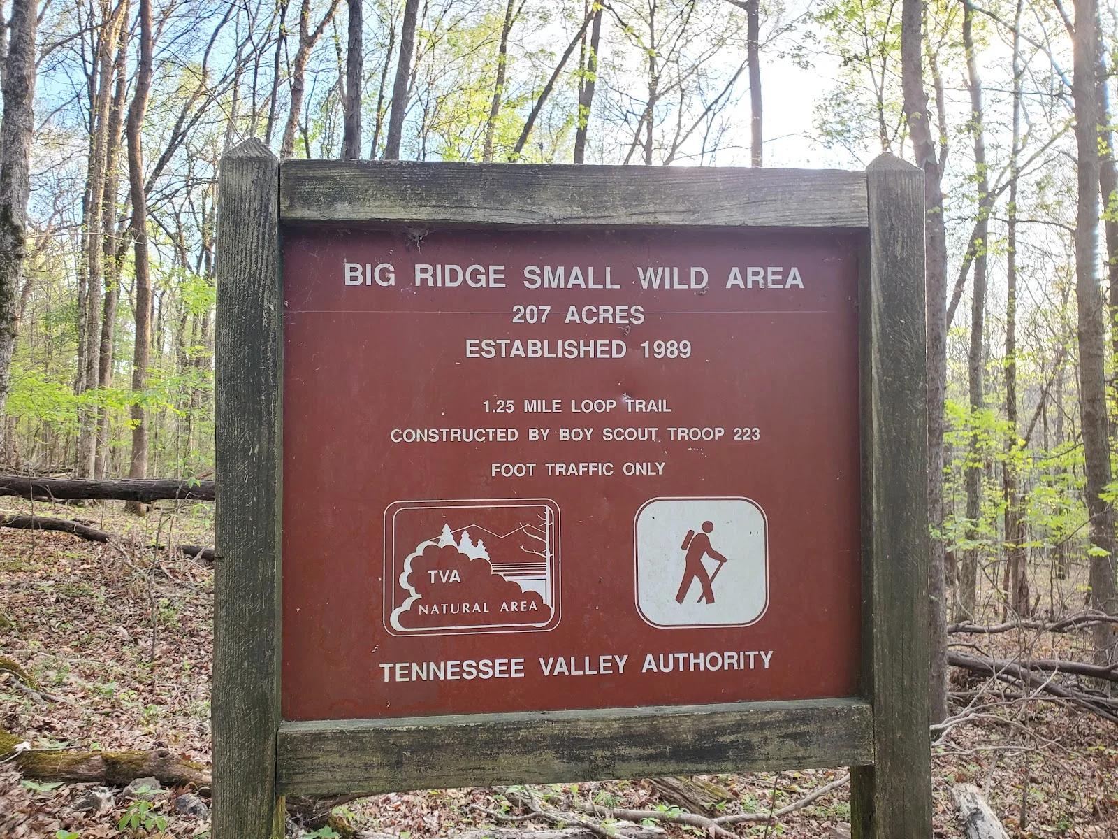 TVA Big Ridge Small Wild Area
