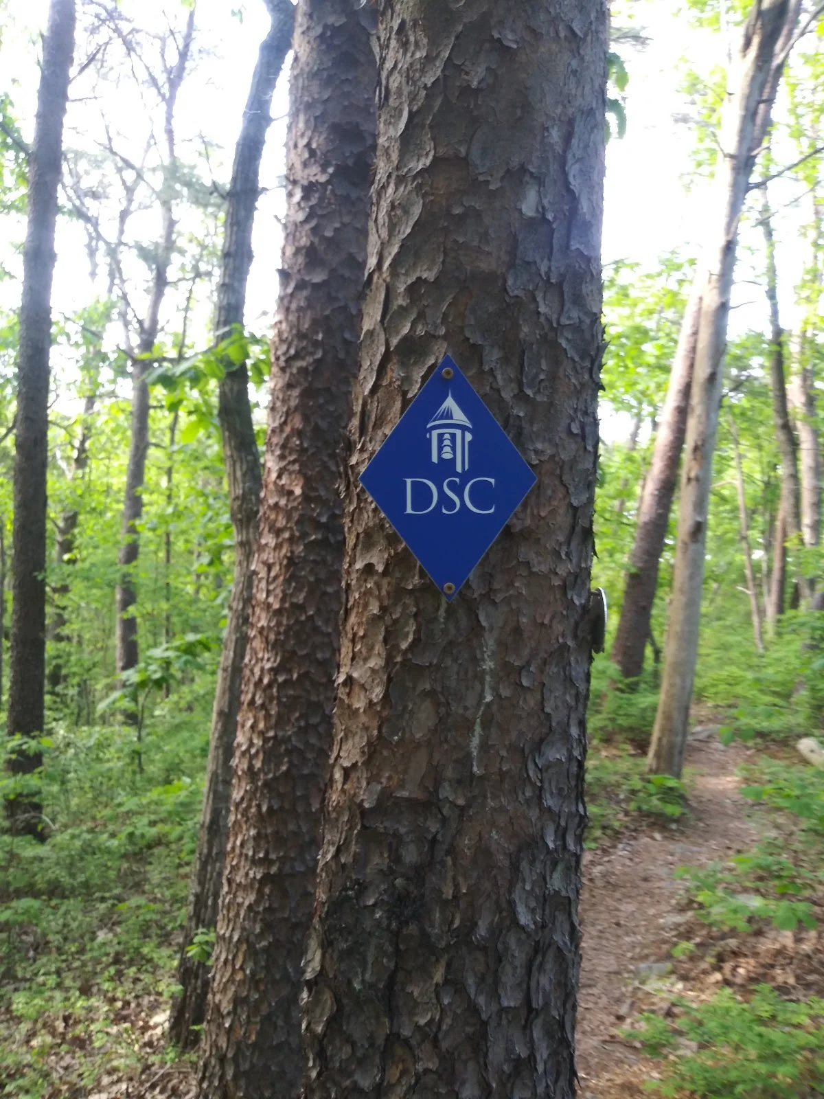Dalton State College Trail