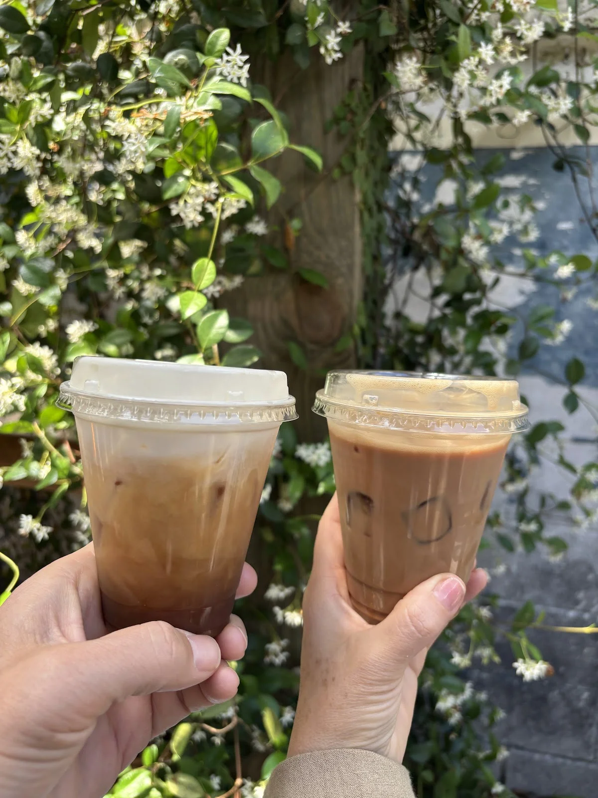 Tame Coffee - Attraction in 
