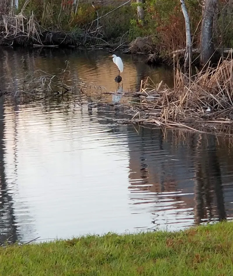 Wooton Park West - park in Tavares