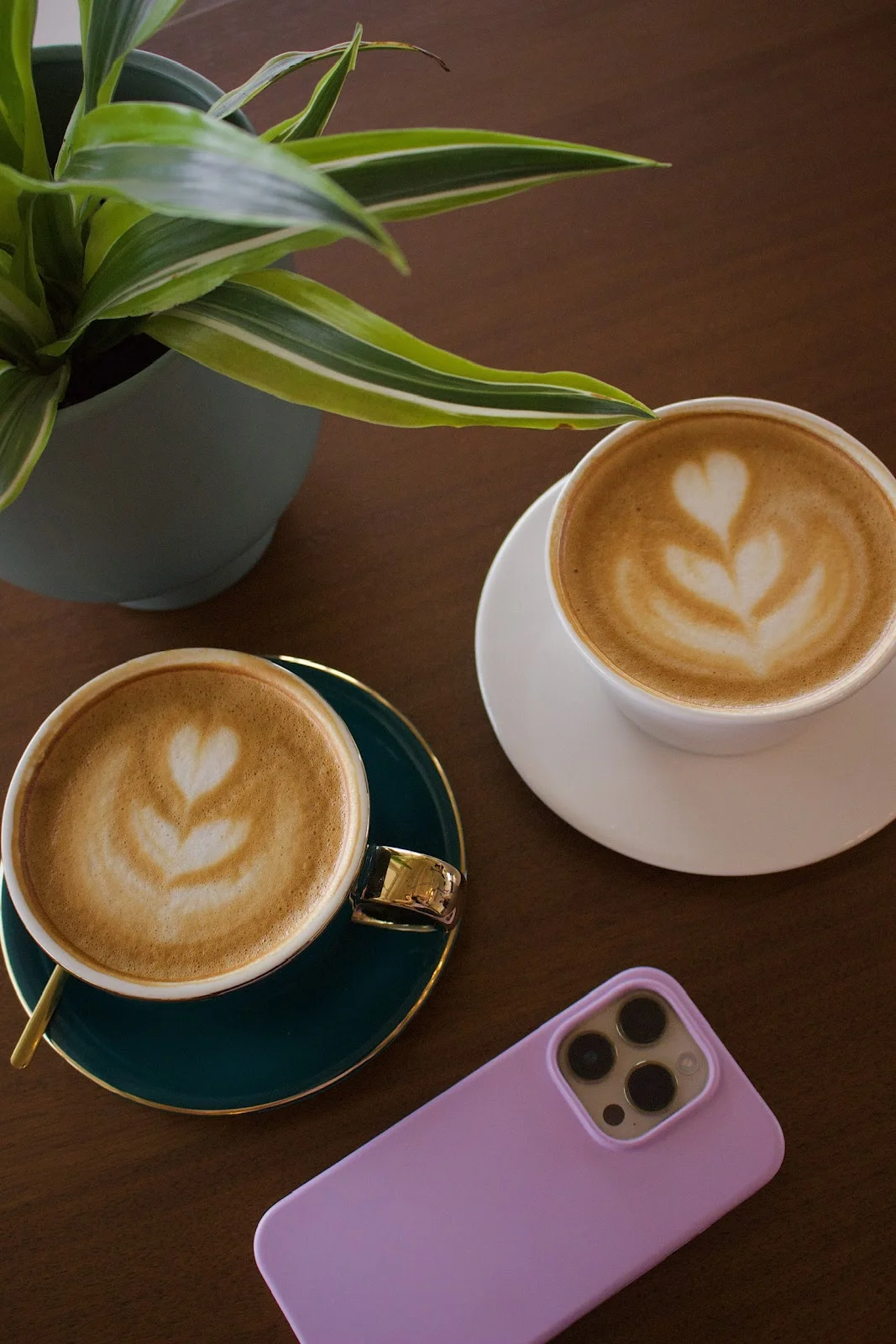 Echo Coffee Co - Attraction in Pensacola