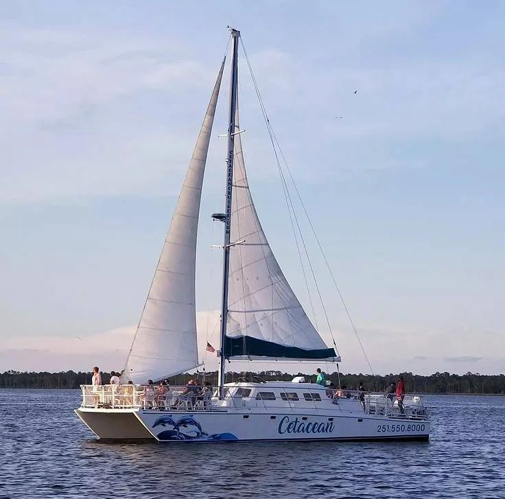 Cetacean Cruises Dolphin Tour