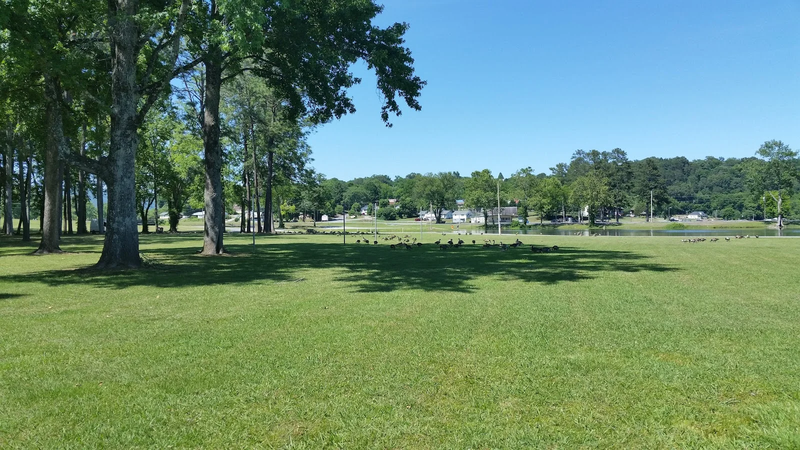 Point Park