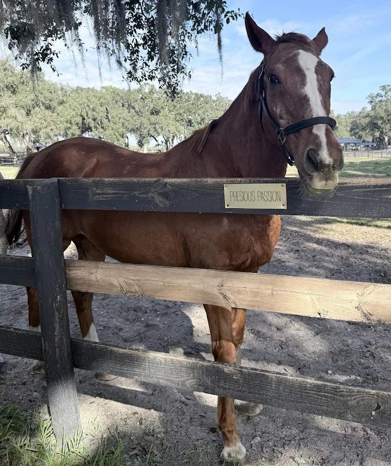 Farm Tours of Ocala