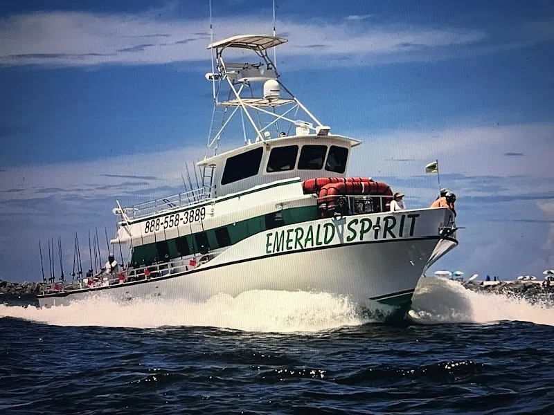 Alabama Deep Sea Fishing - outdoor-recreation in Orange Beach