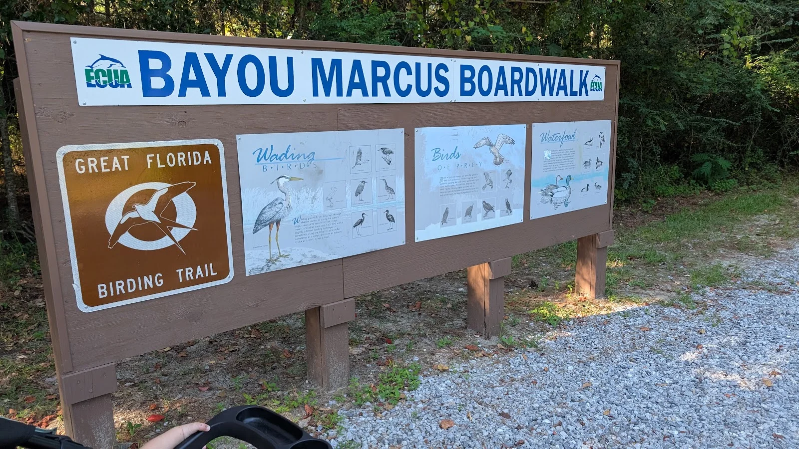 Bayou Marcus Birding Trail