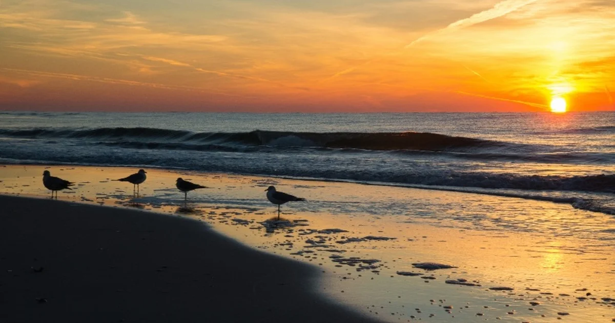 Bon Secour National Wildlife Refuge - outdoor-recreation in Gulf Shores