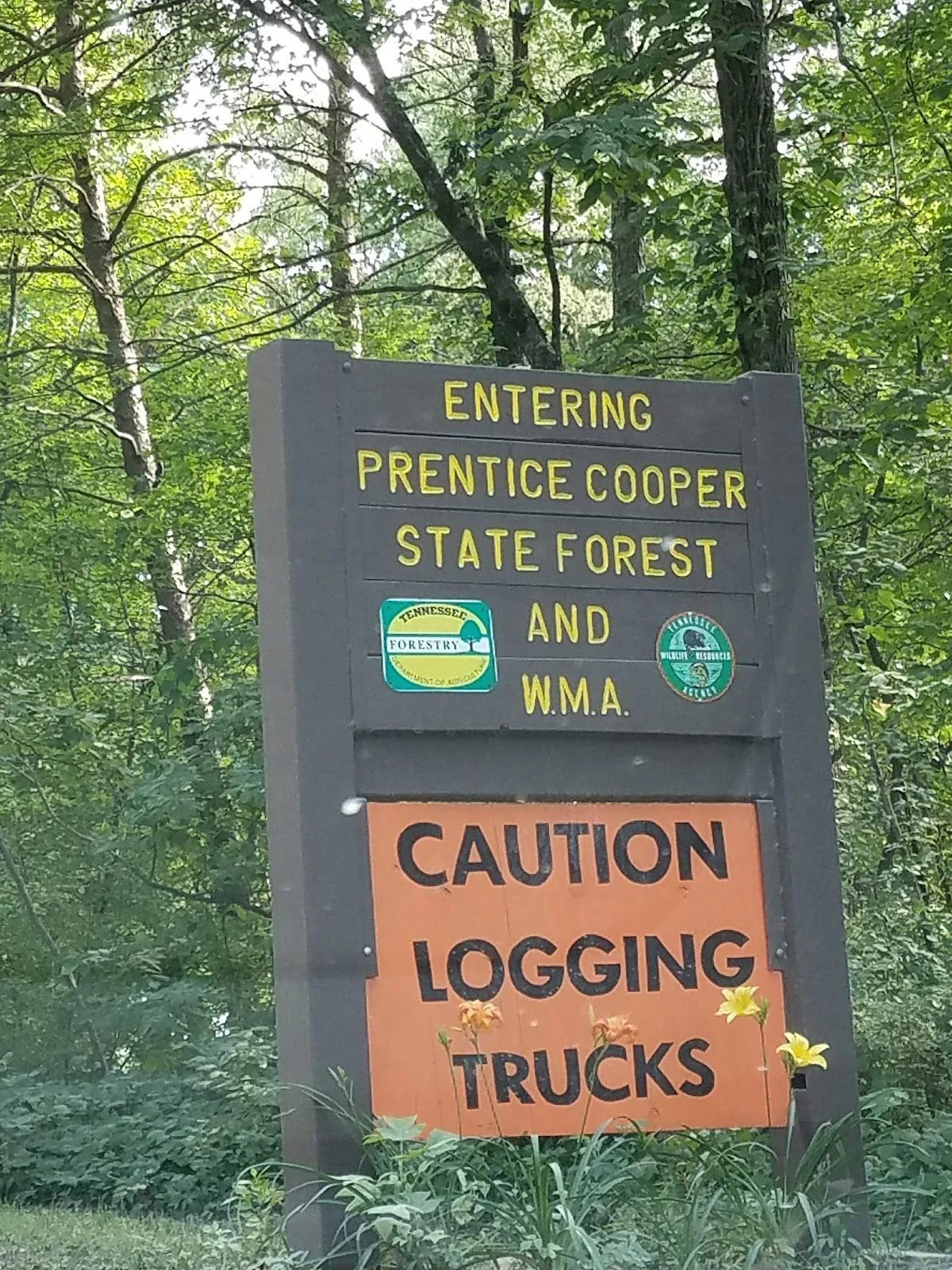 Prentice Cooper State Forest Trailhead parking