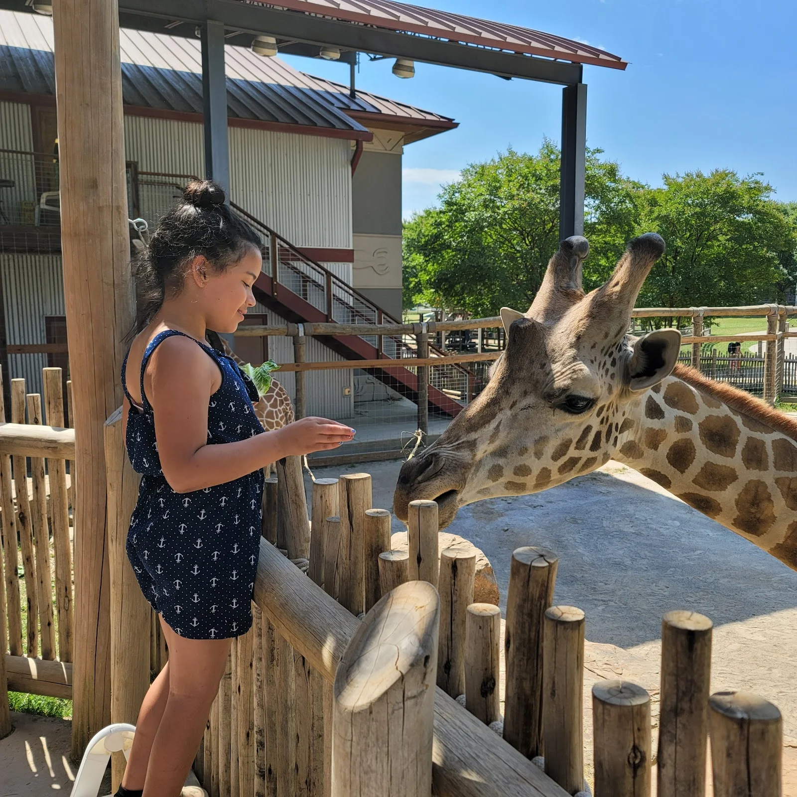 Chattanooga Zoo