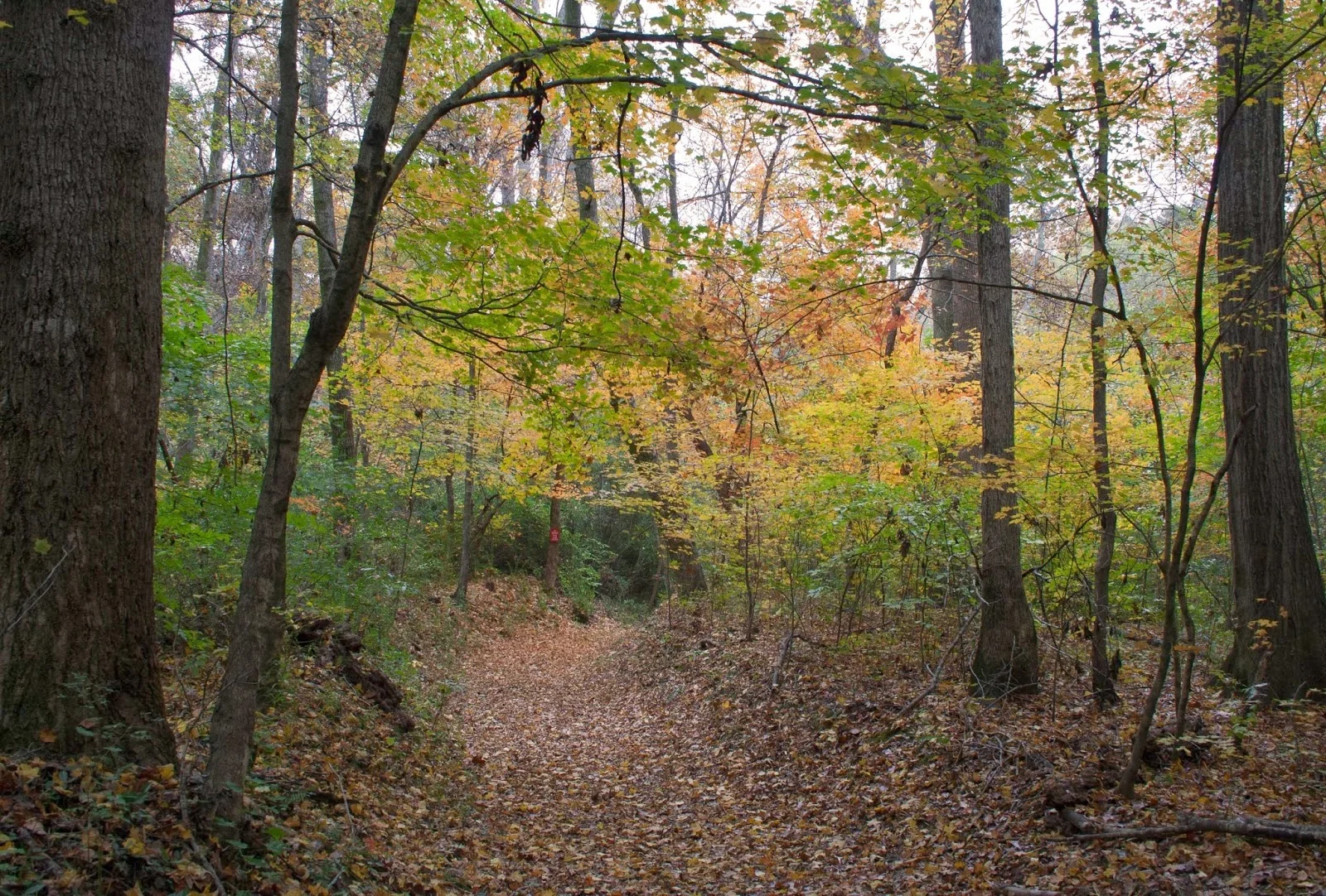 Elise Chapin Wildlife Sanctuary