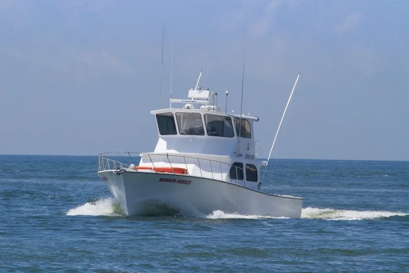 Gulf Rebel Charters - outdoor-recreation in Orange Beach
