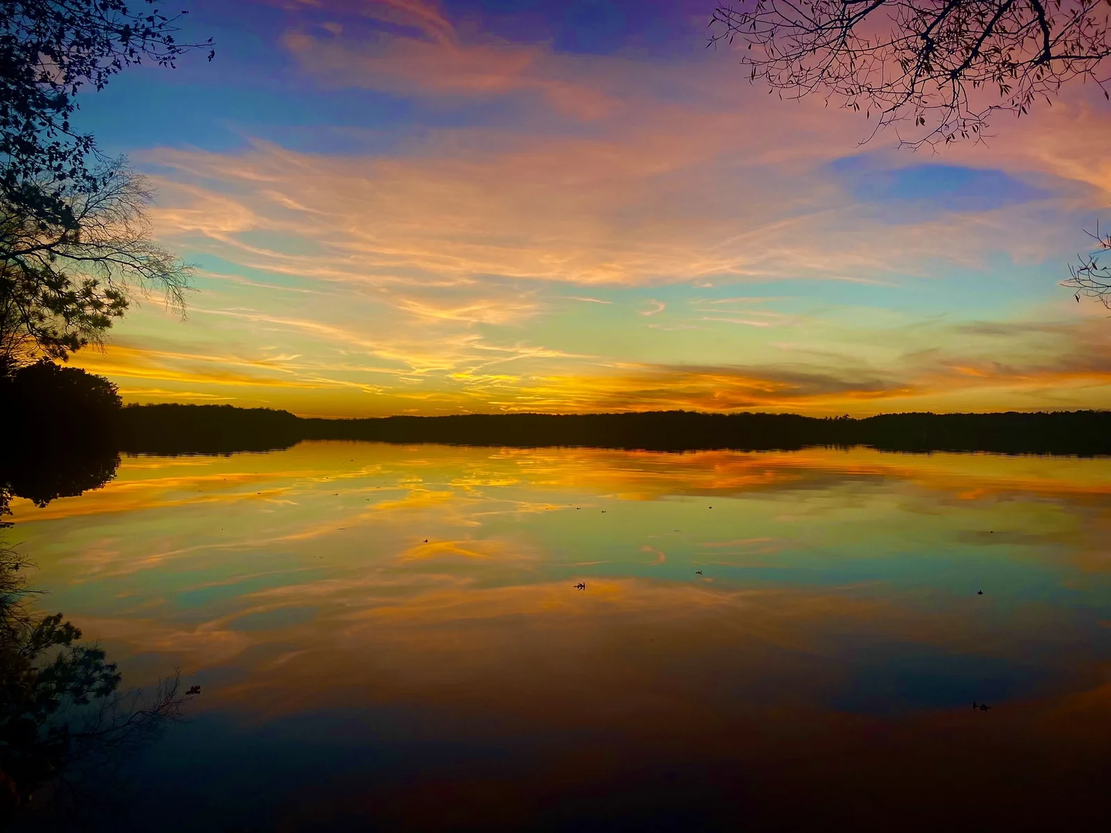 Musky Shores