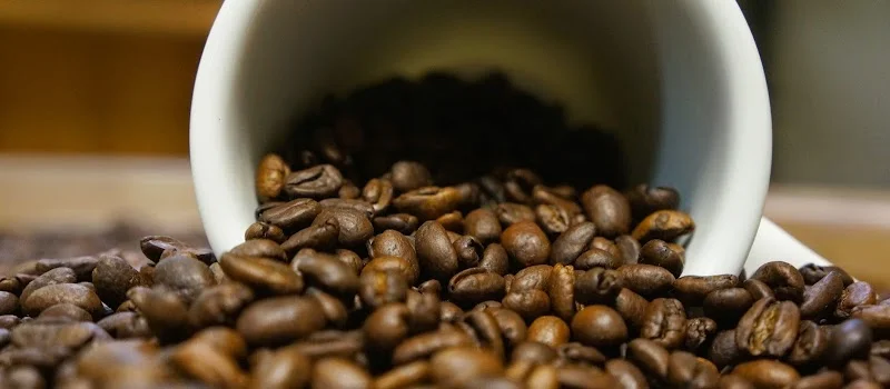 Fairhope Roasting Company - cafe in Fairhope