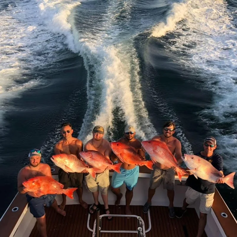Wild Orange Charters - outdoor-recreation in Orange Beach