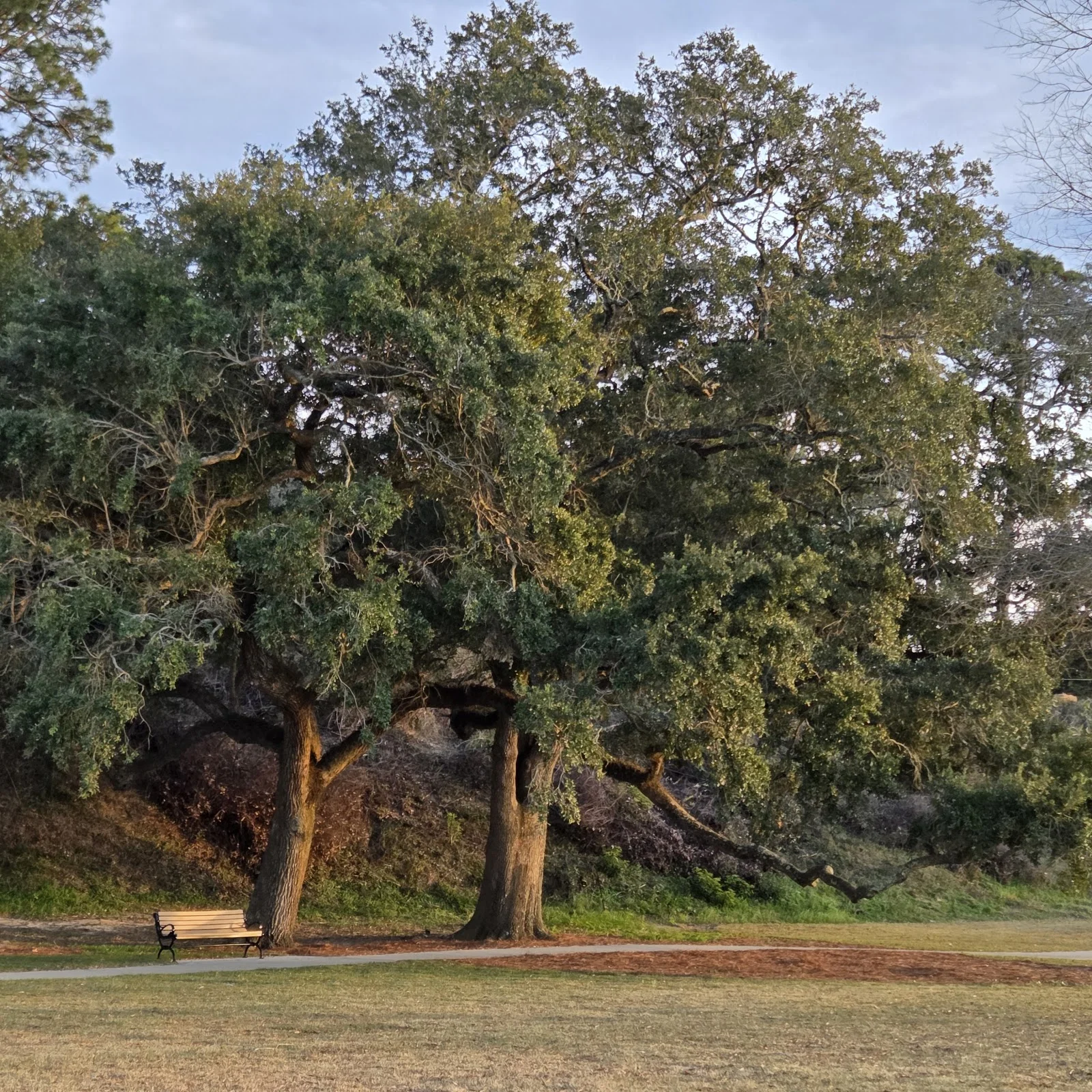 South Beach Park and Fairhope Municipal Pier - park in Fairhope