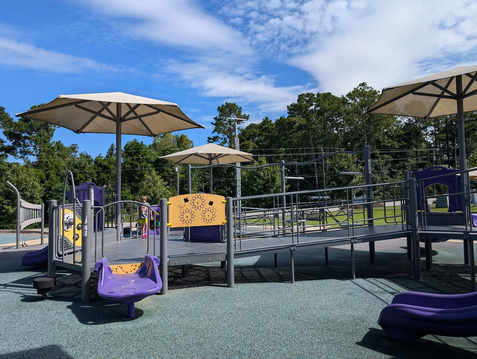 Purple Park Inclusive Playground