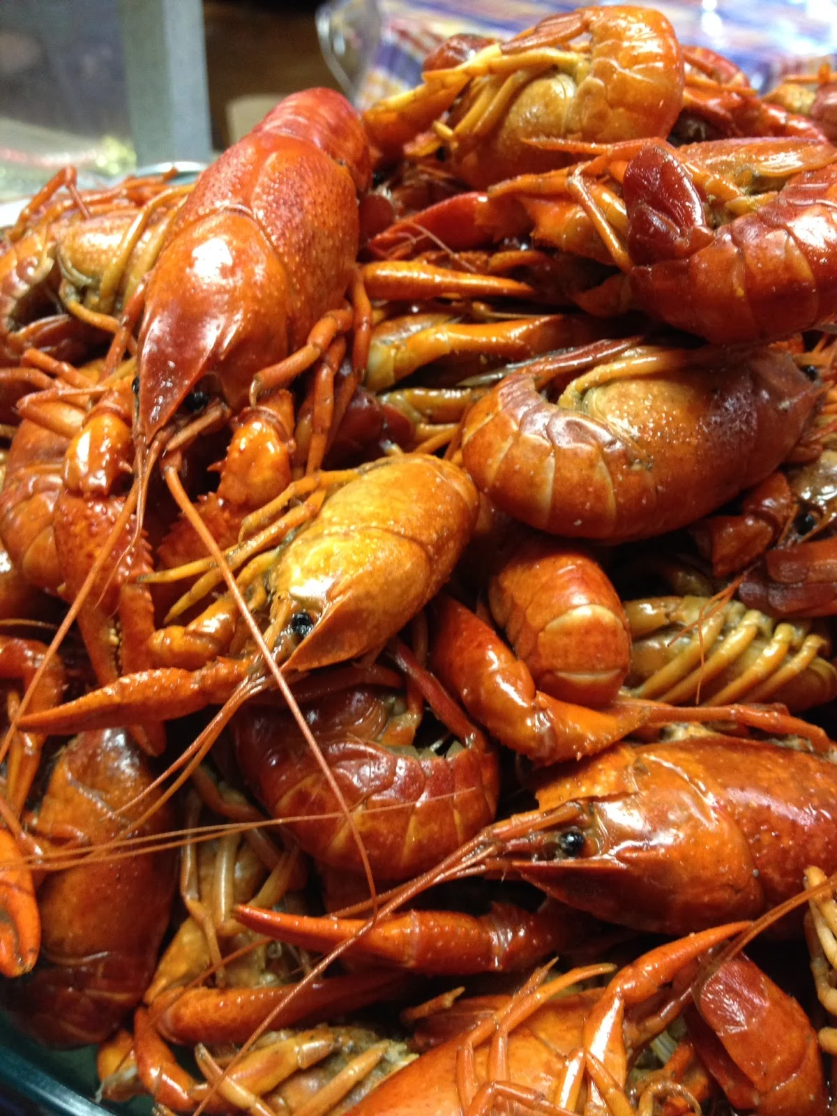 Cub's Crawfish