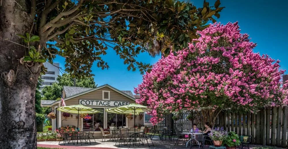 Cottage Cafe - Restaurant in 